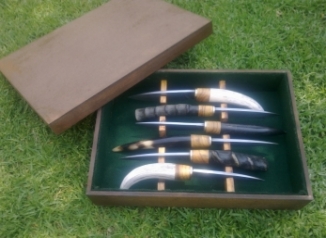 Horn Handle Knife Set